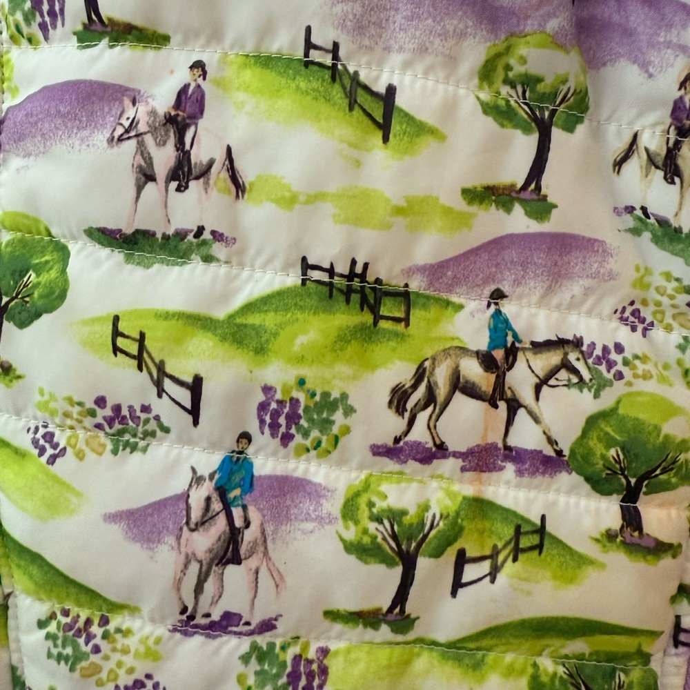 ARIAT Girls RARE Horseback Riding Shell Vest XXL - Picture 3 of 7